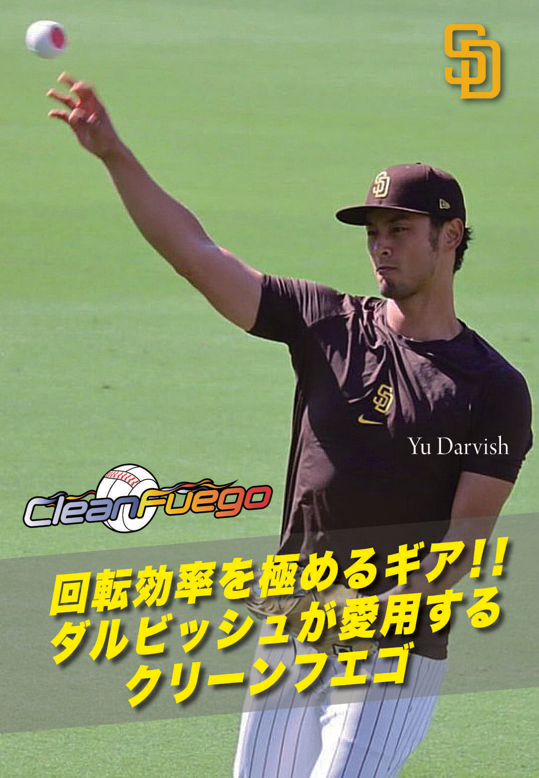 クリーンフエゴ